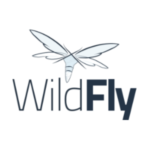 wildfly » Enterprisecoding