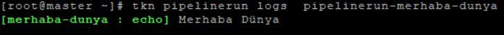 pipelinerun-log » Enterprisecoding