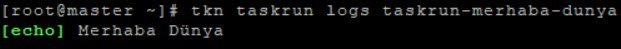 taskrun-log » Enterprisecoding